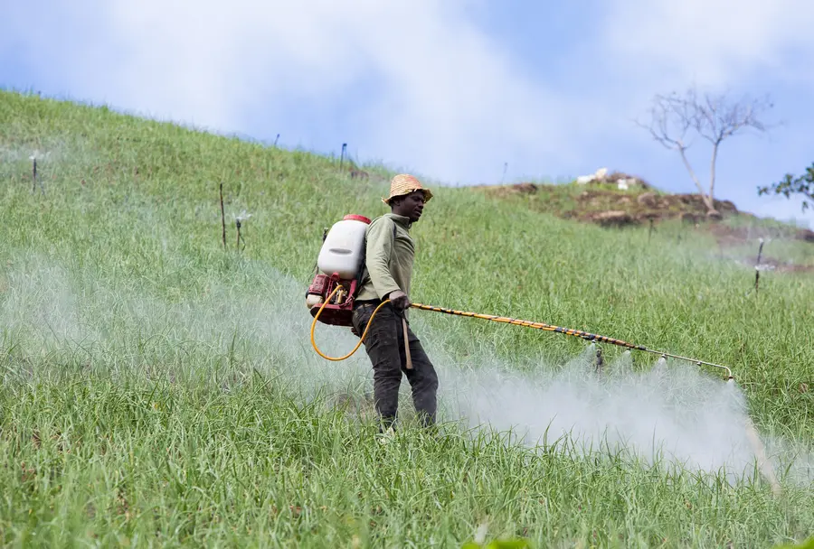 Experienced Pest Control Jacksonville, FL Experienced Pest Control Jacksonville, FL