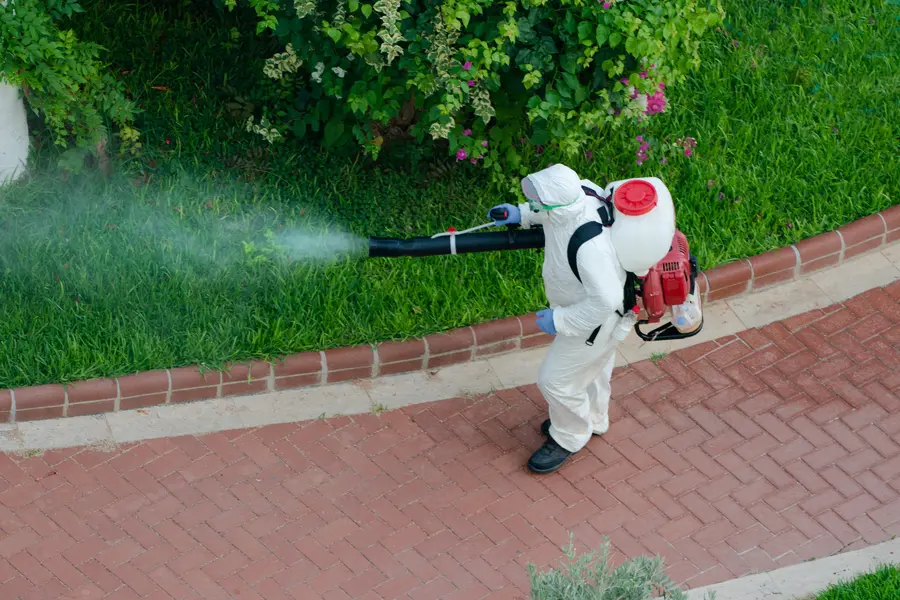 Role Of Pest Control Services In Landscape Design Jacksonville, FL Role Of Pest Control Services In Landscape Design Jacksonville, FL