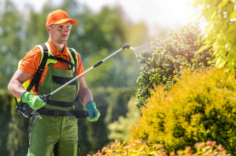 Role Of Pest Control Services In Landscape Design in Jacksonville, FL Role Of Pest Control Services In Landscape Design in Jacksonville, FL