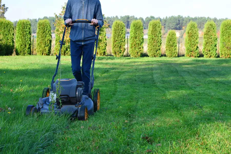 Seasonal Considerations For Effective Lawn Mowing Jacksonville, FL Seasonal Considerations For Effective Lawn Mowing Jacksonville, FL