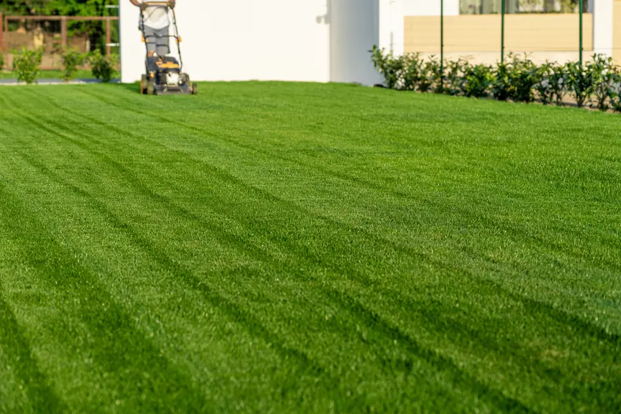 Seasonal Considerations For Effective Lawn Mowing in Jacksonville, FL Seasonal Considerations For Effective Lawn Mowing in Jacksonville, FL