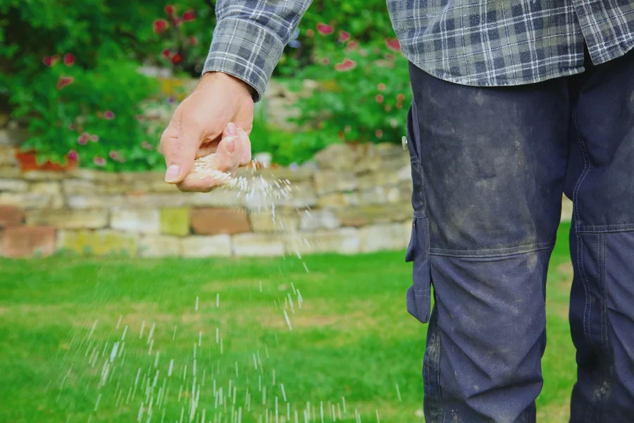Understanding Nutrient Ratios For Successful Lawn Fertilization Jacksonville, FL Understanding Nutrient Ratios For Successful Lawn Fertilization Jacksonville, FL