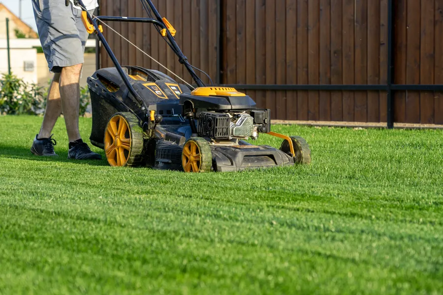 Understanding The Ideal Frequency For Lawn Mowing Jacksonville, FL Understanding The Ideal Frequency For Lawn Mowing Jacksonville, FL
