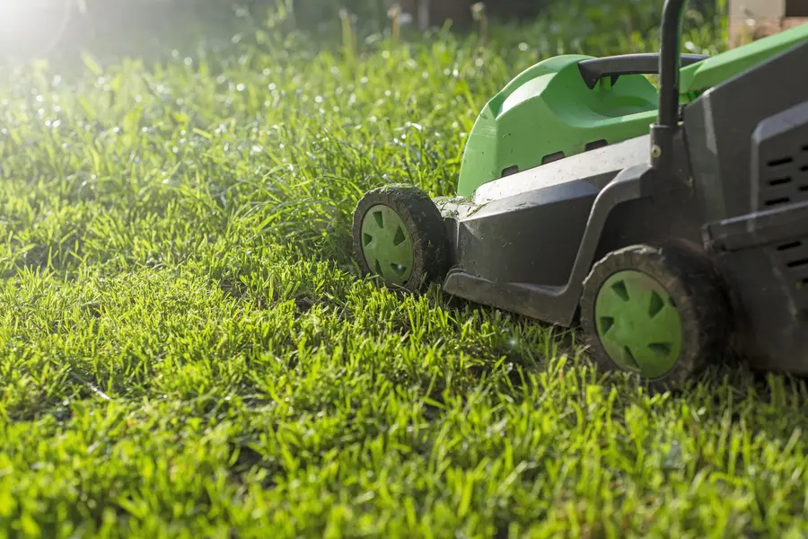 Understanding The Ideal Frequency For Lawn Mowing in Jacksonville, FL Understanding The Ideal Frequency For Lawn Mowing in Jacksonville, FL